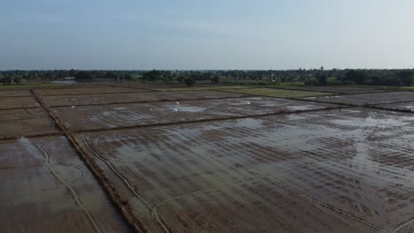 Aerial:-Drone-Over-Flooded-Fields-After-Another-Night-Of-Torrential-Rain-in-Cambodia