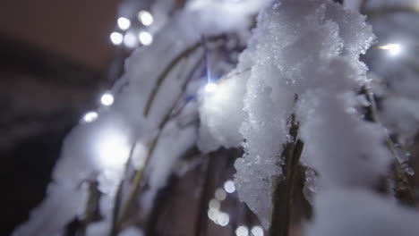 Luces-De-Navidad-En-Las-Ramas-De-Los-árboles-Cubiertos-De-Nieve-De-Cerca