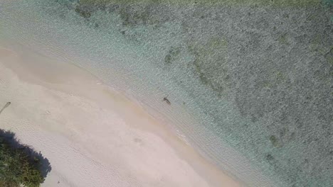 4K-Drohnenansicht-Von-Oben-Auf-Ein-Touristenmädchen,-Das-Im-Klaren-Blauen-Wasser-Am-Privaten-Inselsternstrand-In-Palawan,-Philippinen,-Schwimmt