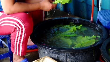 washing-organic-vegetable-pok-choy