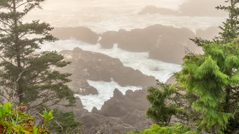 Timelapse-of-Fog-and-Mist-Rolling-in-on-the-Ucluelet-Peninsula-