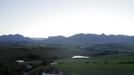 Drone-aerial-over-luscious-green-grape-vineyards-and-vines-sunrise,-with-farmhouse,-blue-mountains-and-dam-ponds-in-background,-Stellenbosch