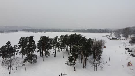 Flying-above-small-lagoon-island-with-conifer-trees-in-winter-season