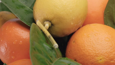 Zitrusfrüchte-Zitrone-Und-Orange-Aus-Nächster-Nähe