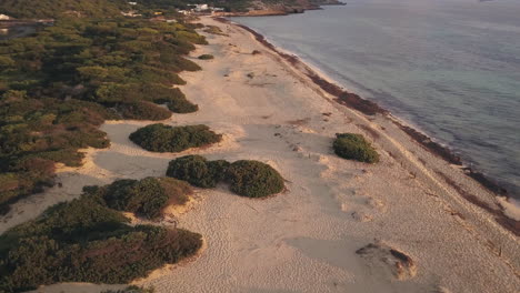 Aerial-view-of-sand-dunes-and-thick-vegetation-on-an-empty-tropical-beach
