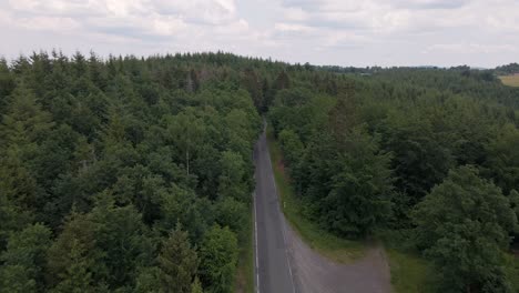 backward-drone-flight-over-an-asphalt-road-passing-through-a-huge-pine-forest-in-a-mountainous-region