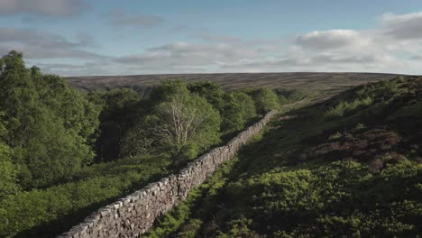 Drystone-wall-marking-the-boundary-between-open-moorland-and-woodland-and-fields-below---Fryupdale-in-the-North-York-Moors