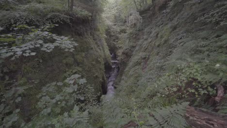 Beautiful-view-of-green-canyon-in-the-forest-in-scotland-uk