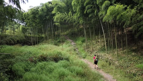 4K-Hiking-in-Moganshan,-Zhejiang-Province,-China