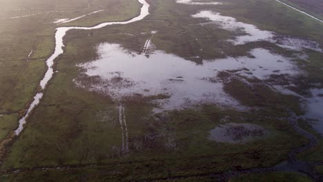 Drohnenüberflug-über-Sumpfiges-Feuchtgebiet-In-Einem-Flussdelta-An-Der-Küste-Der-Niederlande