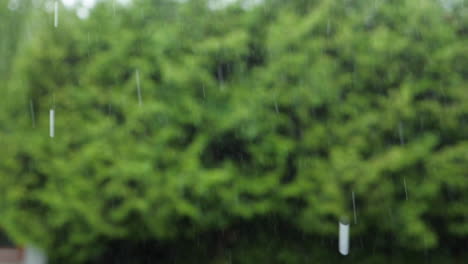 heavy-summer-rain-in-slow-motion-with-blurry-green-foliage