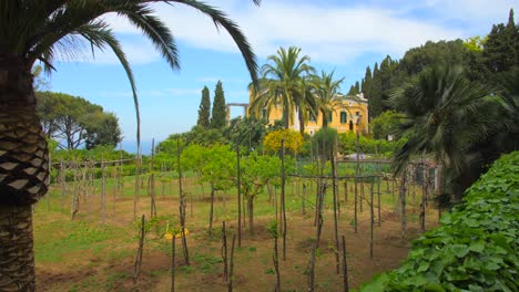 Gelb-Gestrichene-Villa-Mit-Wunderschöner-Gartenlandschaft-Und-Blauem-Himmelshintergrund-In-Capri,-Italien