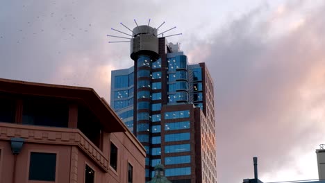 The-Majestic-Centre-high-rise-office-block-in-central-business-district,-tallest-building-against-a-pink-hue-sunset-in-the-capital-Wellington,-New-Zealand-Aotearoa