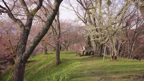 Sakura-Bäume-über-Einer-Friedlichen-Bergparkszene-Im-Yoshino-Berg