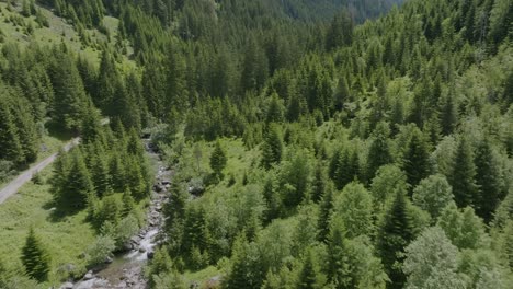 Luftüberflugwaldlandschaft,-Berge-Und-Fließender-Fluss-Zwischen-Nadelbäumen