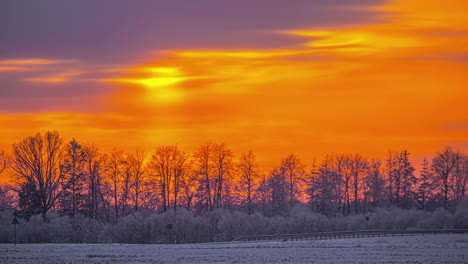 Country-Road-And-Tree-Silhouettes-During-Winter-Against-Vibrant-Sunset-Sky