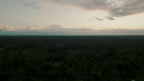 Aerial-shot-of-dense-forest-during-sunset-time