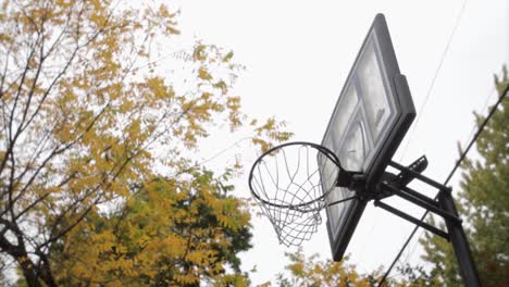 Niedriger-Winkel-Des-Basketballkorbs-Im-Herbst-Mit-Bäumen-Im-Hintergrund