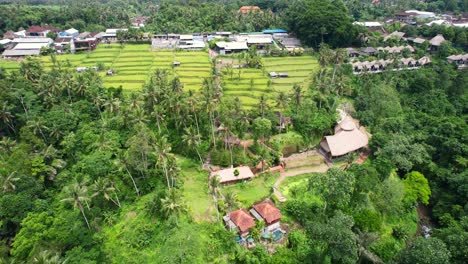 Luftaufnahme-Eines-Reisfeldtals-Voller-Kokospalmen-Und-Eines-Flusses-Darunter-In-Bali,-Indonesien