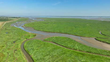 Aerial-shot-of-small-rivers-leading-through-bright-green-wetlands-into-the-sea