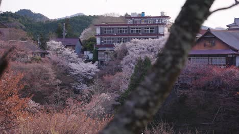4k-Beautiful-Yoshino,-Nara-Japan,-Spring-Colors-in-countryside-Mountain-Town