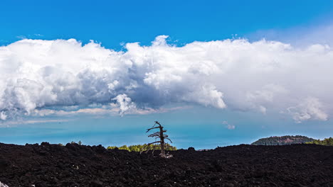 Time-lapse-of-deforestation-area-next-to-stratovolcano-Mount-Etna
