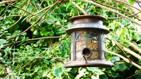Kunstvolles-Vogelhäuschen-Aus-Metall-Für-Den-Garten,-Gefüllt-Mit-Samen-Und-Nüssen,-Die-Sich-Im-Wind-Von-Einem-Ast-Wiegen