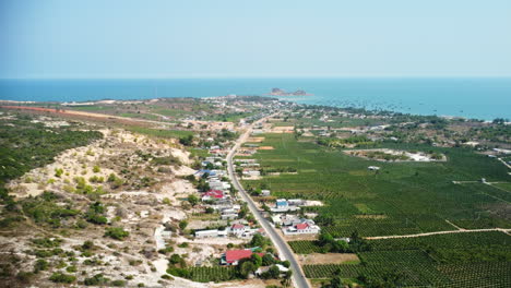 Endless-coastal-road-with-dragonfruit-plantation-on-one-side,-aerial-view