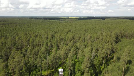Aussichtsturm-Im-Wald