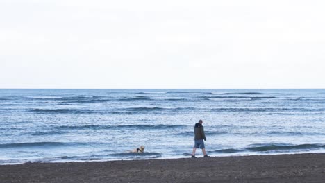 Eine-Person,-Die-Mit-Ihrem-Hund-Am-Malahide-Strand-Entlang-Geht