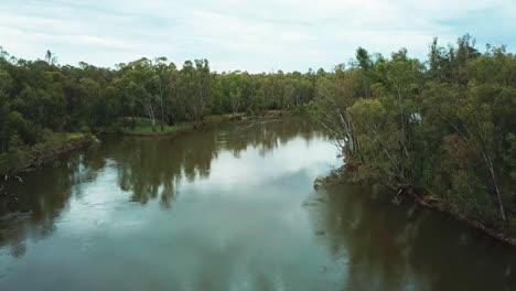 Langsame-Luftaufnahmen-Des-Murray-River-Und-Des-Eukalyptuswaldes-Nördlich-Von-Corowa,-Australien