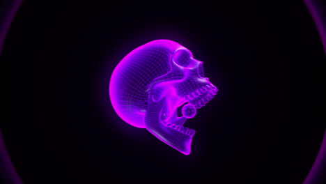 Vj-Loop---Skull-bite-with-color-cycle