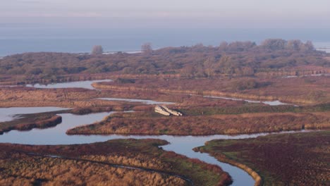 Vast-coastal-marsh-that's-popular-bird-sanctuary,-Korendijkse-Slikken