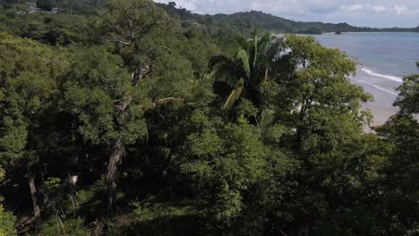 Drohnenaufnahmen-Vom-Überfliegen-Des-Grünen-Dschungels-Bis-Zum-Strand-Von-Playa-Playitas-An-Der-Westküste-Von-Costa-Rica-Am-Pazifischen-Ozean