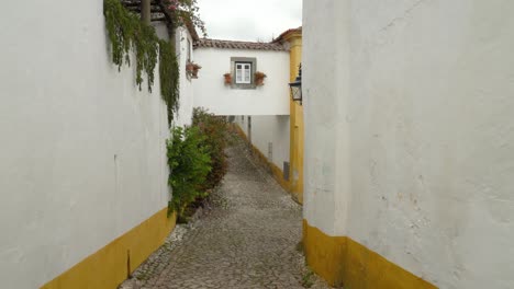 Caminando-Por-Una-Calle-Estrecha-En-El-Castillo-De-Ã“bidos-Con-Flores-Creciendo-En-La-Pared