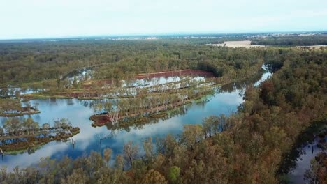 Aerial-view-of-the-swollen-Murray-River-and-forests-just-upstream-of-Lake-Mulwala,-Australia
