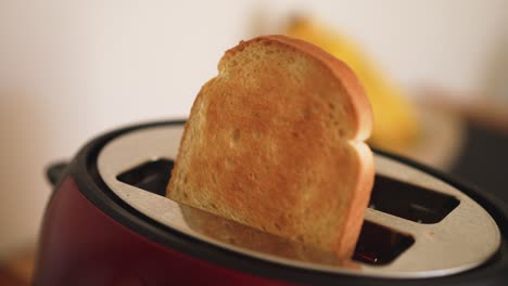 Sliced-white-bread-popping-out-of-toaster