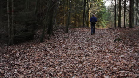 Static-view-of-man-walking-through-forest-in-autumn