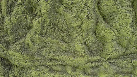 Birds-eye-view-of-the-light-green-moss-covered-Eldhraun-lava-field