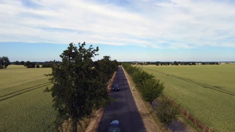 Cars-overtake-each-other-on-narrow-country-road-avenue
Breathtaking-aerial-view-flight-stable-tripod-drone-footage
at-street-in-Europe-summer-2022