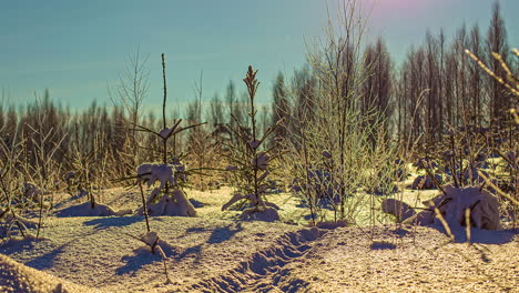 Leafless-Plants-And-Trees-Covered-With-Snow-In-Winter-At-Dusk