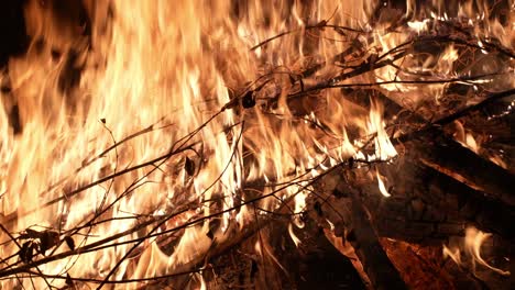 Abstract-flames,-burning-background-of-branch-pile