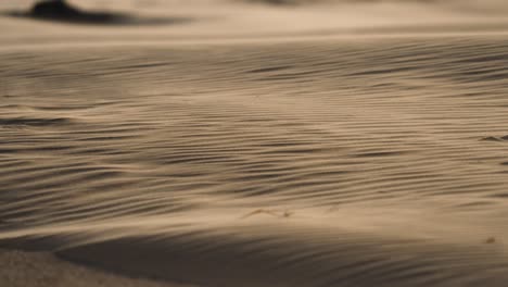Wind-blows-over-a-sand-rippled-surface,-carrying-away-sand-grains