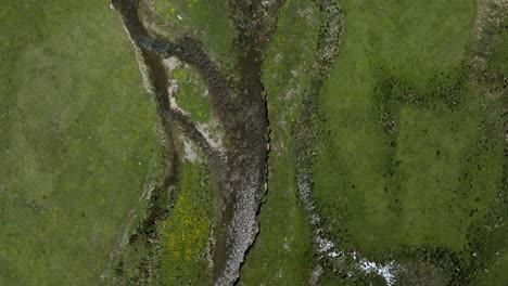 Topdown-Des-Flusses,-Der-In-Grüner-Landschaft-Im-Verwalteten-Reservat-Ktsia-Tabatskuri-In-Georgien-Fließt