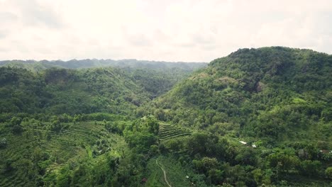 Aerial-forward-flight-over-lush-landscape-with-forest-and-hills-in-WONOSARI,-YOGYAKARTA,-INDONESIA