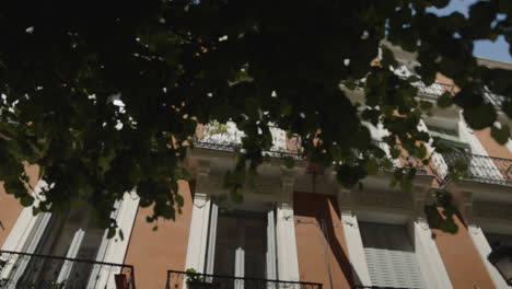 Fenster-Eines-Wohngebäudes-Hinter-Baumlaub-In-Madrid,-Blick-Aus-Dem-Niedrigen-Winkel