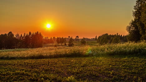 Zeitraffer-Des-Sonnenuntergangs-über-Grünem-Grasland-Mit-Weißen-Wildblumen-Am-Abend