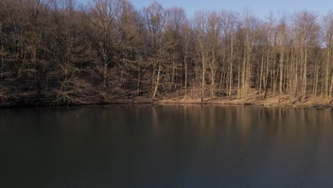 Zwei-Menschen-Stehen-In-Einem-Braunen-Wald,-Der-Bei-Sonnenuntergang-In-Deutschland-Am-Ufer-Eines-Blauen-Sees-Wächst