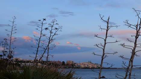Ruhige-Szene-Bei-Sonnenuntergang-Am-Tropischen-Ufer-Des-Strandes-La-Rada-In-Estepona,-Spanien