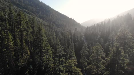 Slow,-cinematic-ariel-drone-shot-hovering-over-the-trees-toward-highway-50-in-California-near-lake-Tahoe-in-the-deep-wilderness-and-forest-of-pine-trees-following-the-American-river